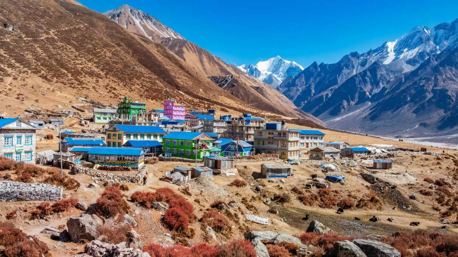 bunch of colourful houses
