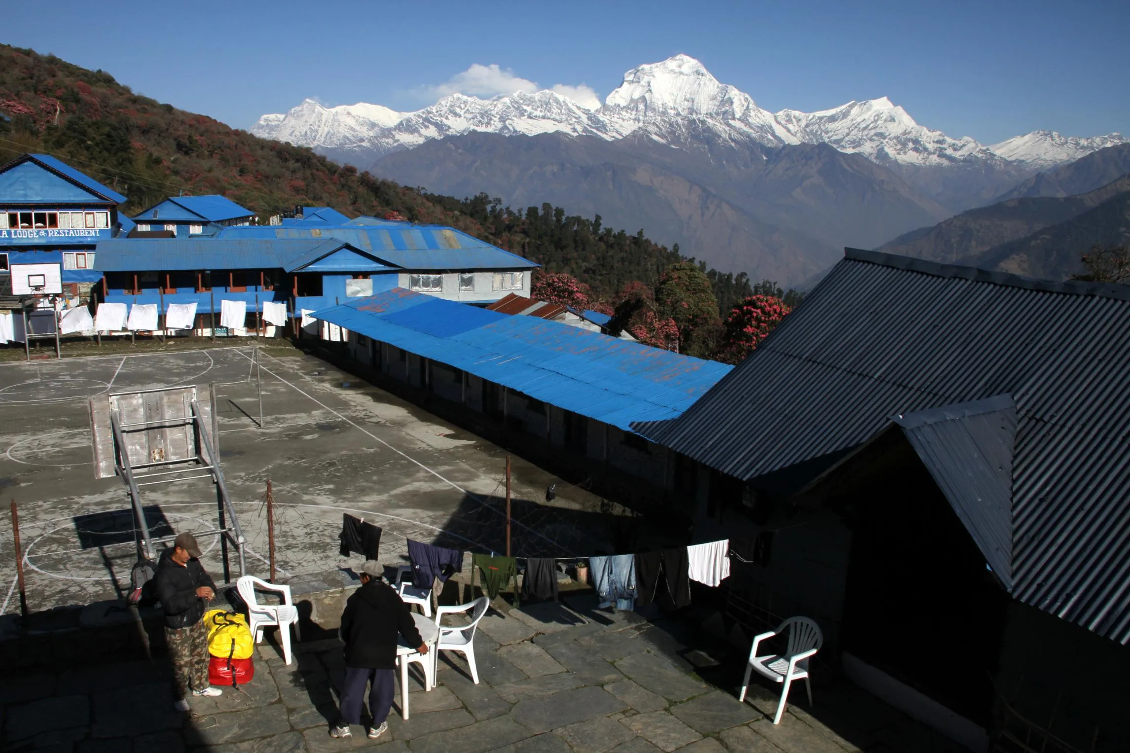 5 Days Ghorepani Poon Hill Trek