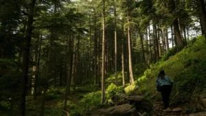 trekking