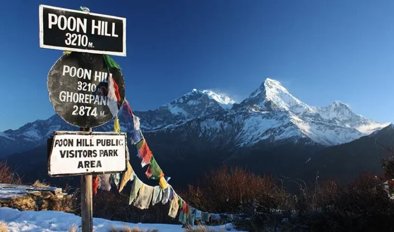 Ghorepani Poon Hill Trek from Pokhara: A Complete Guide for First-Time Trekkers