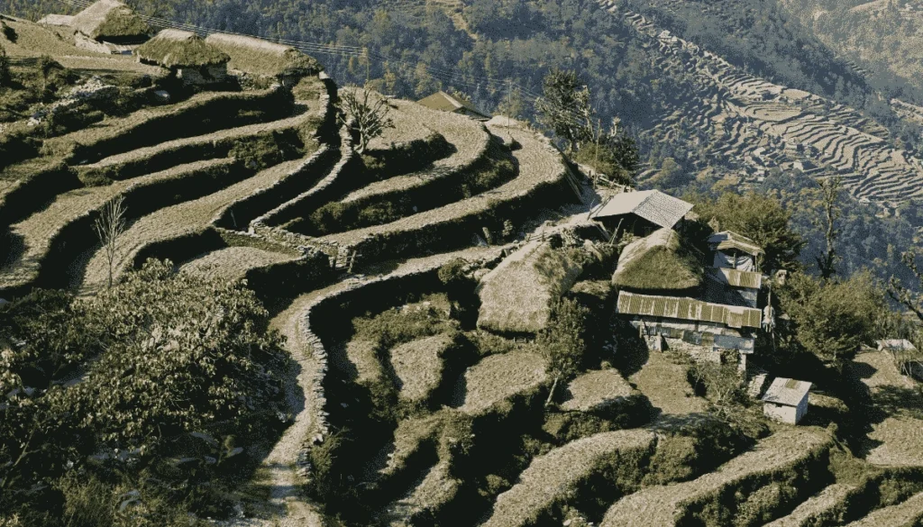 Dhampus Village Trek: The Easiest Himalayan Trek with Epic Mountain Views Near Pokhara