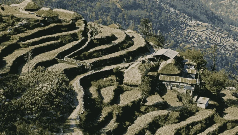 Dhampus Village Trek: The Easiest Himalayan Trek with Epic Mountain Views Near Pokhara