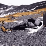Sleeping Beauty Everest Identity: The Story of Francys Arsentiev