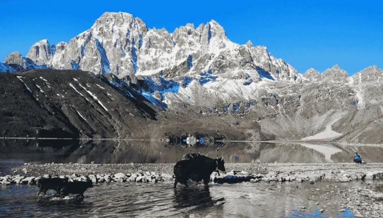 Affordable Gokyo Lakes Trek: A Complete Cost-Smart Guide for International Trekkers