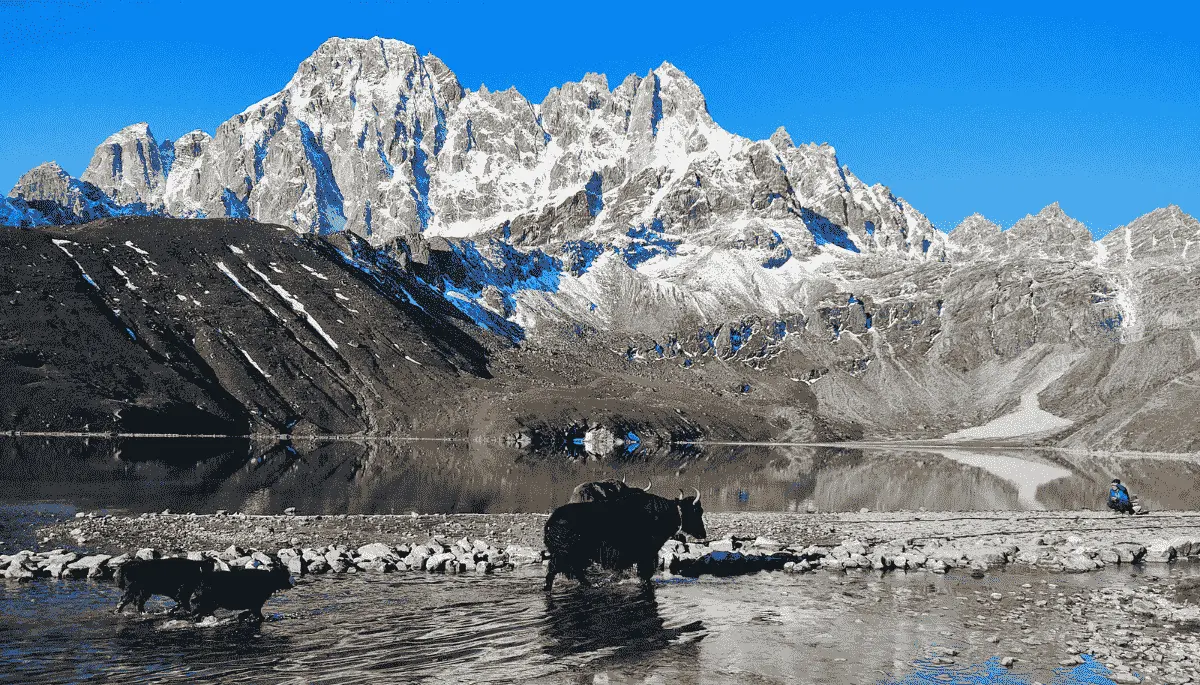 Affordable Gokyo Lakes Trek: A Complete Cost-Smart Guide for International Trekkers