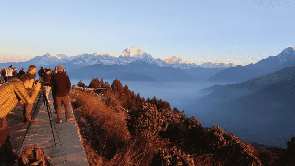 Ghorepani Poon Hill Trek: Everything You Need to Know Before You Go