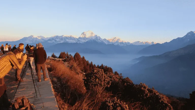 Ghorepani Poon Hill Trek: Everything You Need to Know Before You Go