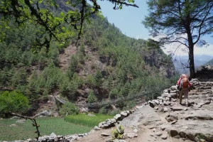 Everest Dudhkoshi Trail Bridge