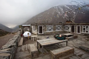 tea-house