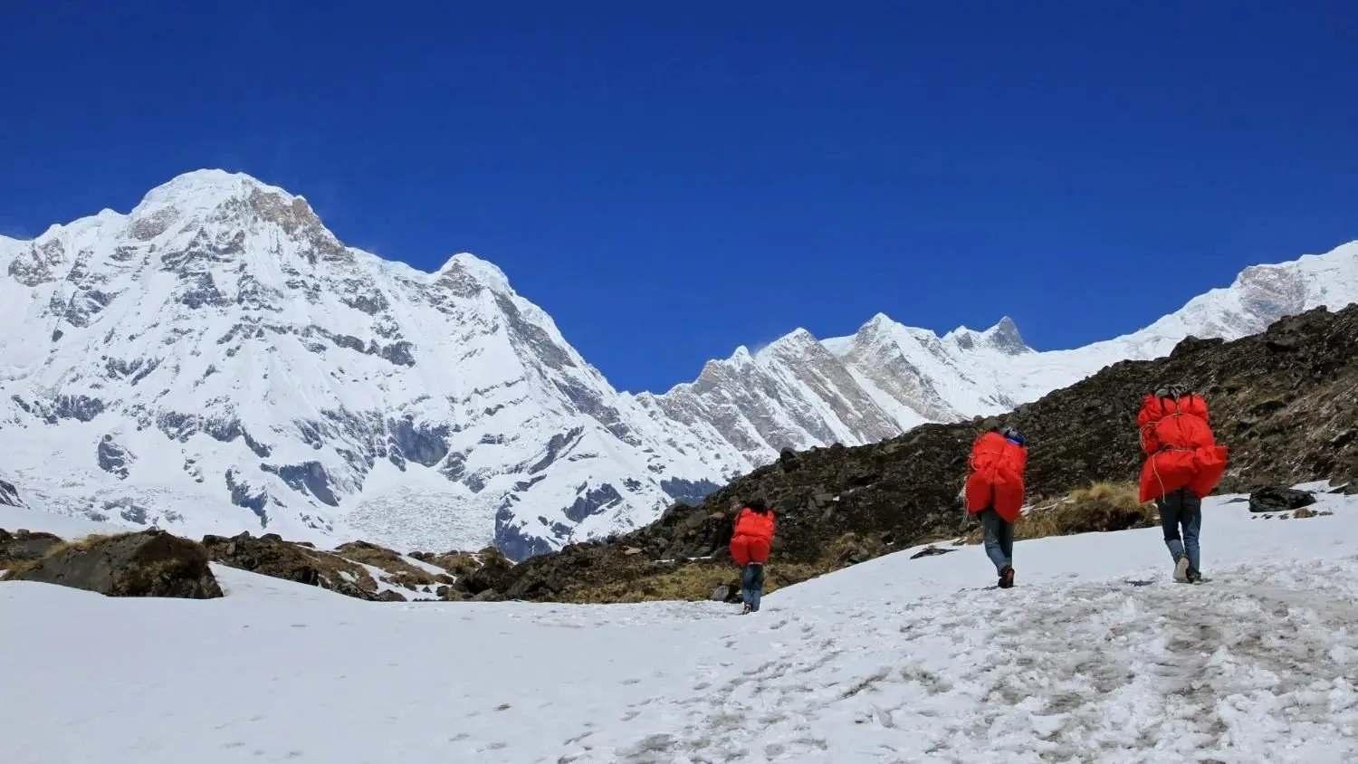 Mountain porters carrying heavy loads along a snowy Himalayan trail in Nepal