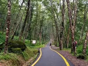 Phulchowki Hiking