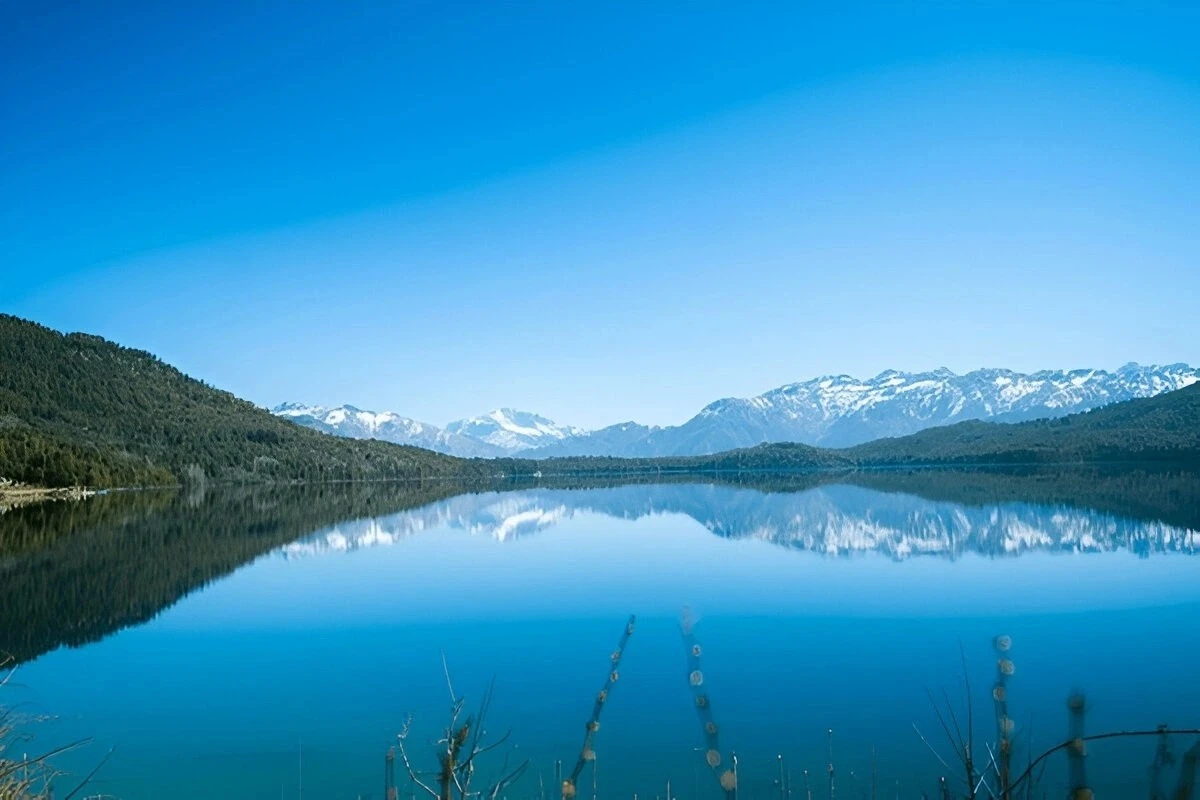Rara Lake surrounded by forested hills and snow-capped mountains under a clear blue sky