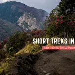 Short Treks in Nepal: Best Routes, Tips & Packages for 2026