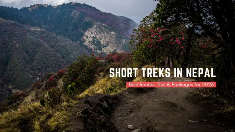 Short Treks in Nepal: Best Routes, Tips & Packages for 2026