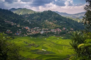 Panoramic view of Balthali Village featuring lush green terraced rice fields, traditional hillside homes, and forest-covered hills under a dramatic cloudy sky in Nepal.