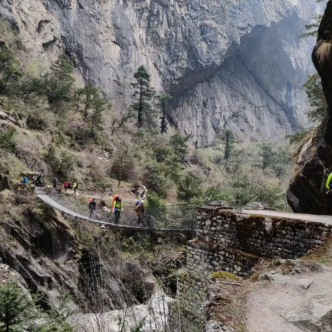 Trekkers crossing a suspension bridge along the Nar Phu Valley Trek beneath towering cliffs in Nepal.